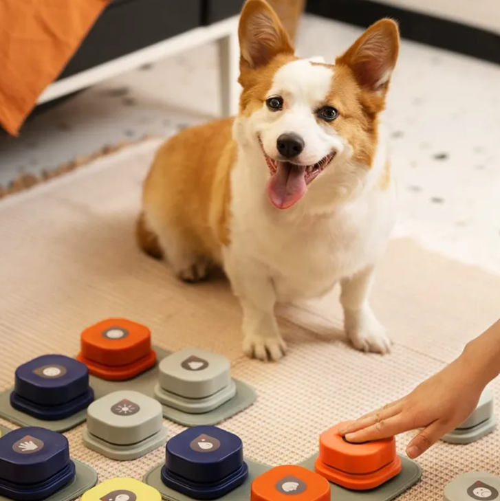 YassoNest Talk Button — Teach Your Dog To Speak