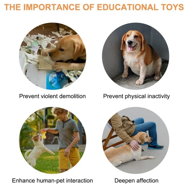 YassoNest Talk Button — Teach Your Dog To Speak